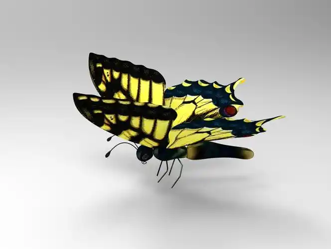 曲面蝴蝶建模学习