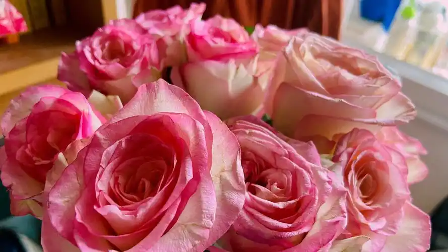 懵懵懂懂拍摄设备iphone11