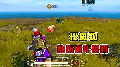 小幺日常游戏视频集锦