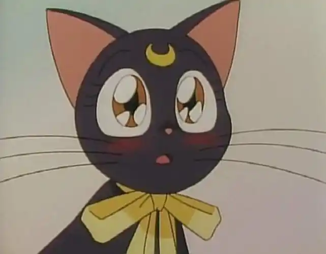 美少女战士露娜猫咪