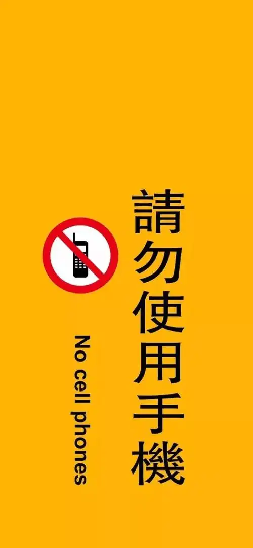 抖音同款壁纸已封印不许玩手机