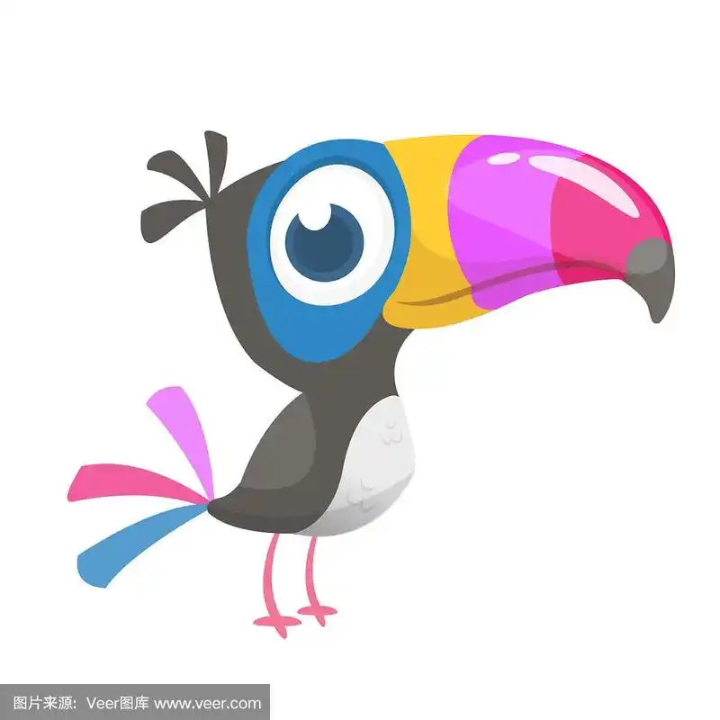 有趣的巨嘴鸟卡通.向量鸟插图