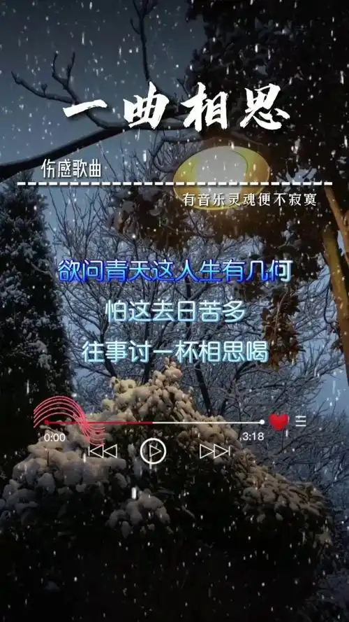 一曲相思 #情感音乐 #扎心情感音乐 #伤感音乐 #扎心音乐 #伤感歌曲
