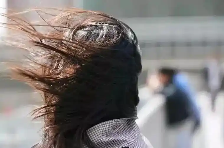 天气 | 风太大啦!天津人,明天继续感受0℃的暴击.