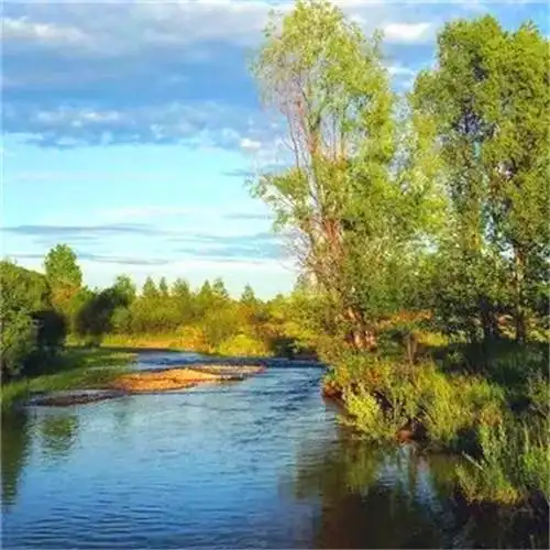 爸爸们爱用的头像