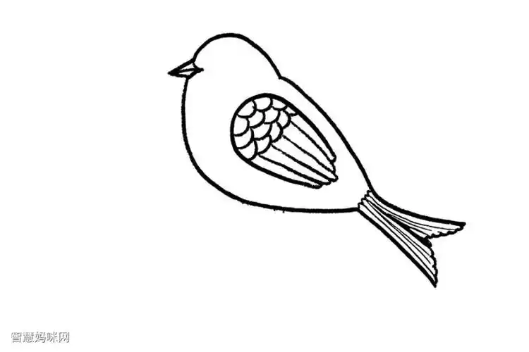 如何画一只漂亮的小鸟