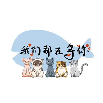 招聘招人宠物店兽医诊所可爱 i>猫 /i> i>咪 /i>主子png i>图 /i>