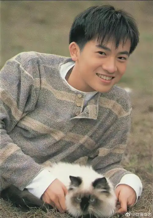 苏有朋早期角色盘点#"苏有朋女孩"们,小虎队,五阿哥,杜飞,花无缺