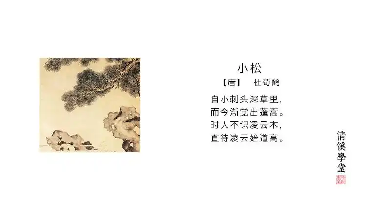 《小松》杜荀鹤