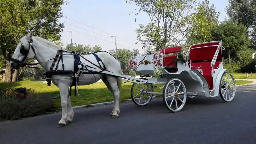 婚礼马车yc-b009 型,结婚马车,旅游马车,欧式马车
