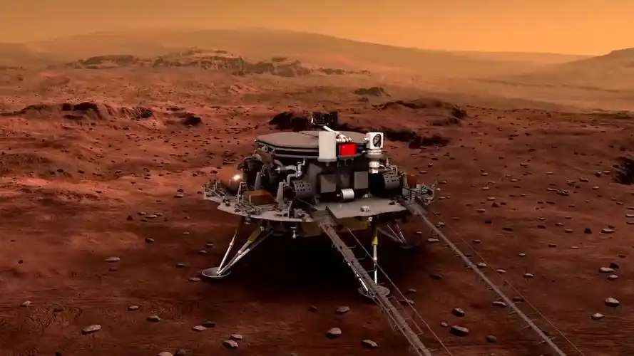 一只美丽的蓝色闪蝶揭秘中国首辆火星车祝融号