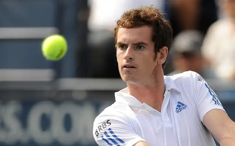 安迪99穆雷网球明星桌面壁纸