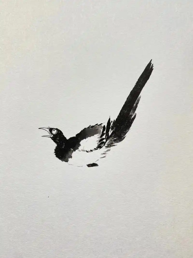 中国画#喜鹊#写意花鸟 - 抖音