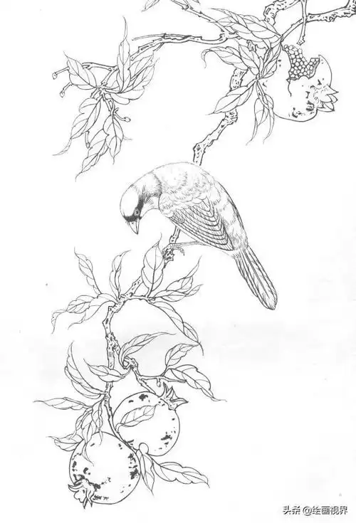 初学者必看的白描线稿示范教程