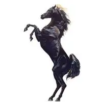 微信骏马精美头像图片大全【点击鼠标右键下载】