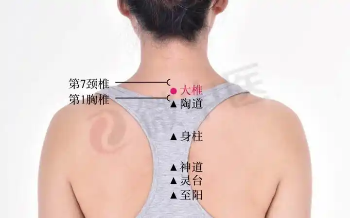 第十节:颈椎病辩证和灸法(1月9日)-【微中医】艾灸九期-【微中医】预