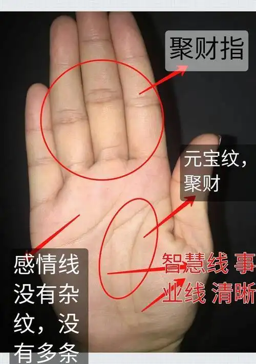 手相福由手生财富不断事业顺风顺水的手相