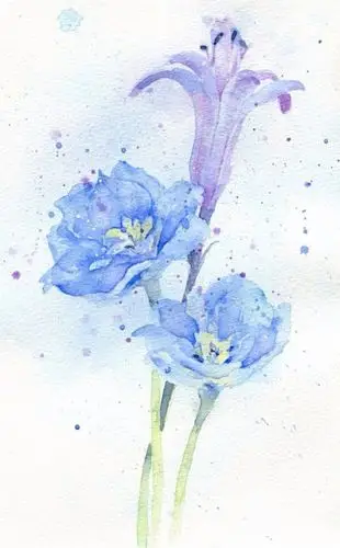 壁纸 手绘 唯美 清新 花