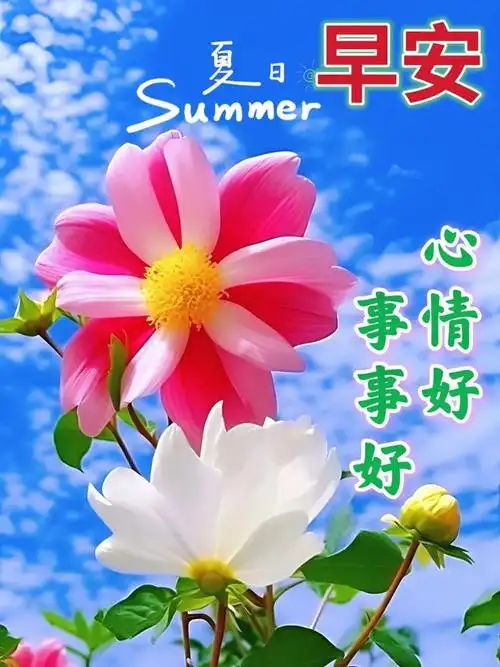 7月2日最新早上好漂亮图片祝福|快乐|清晨|早安|喜乐|好心情_网易订阅