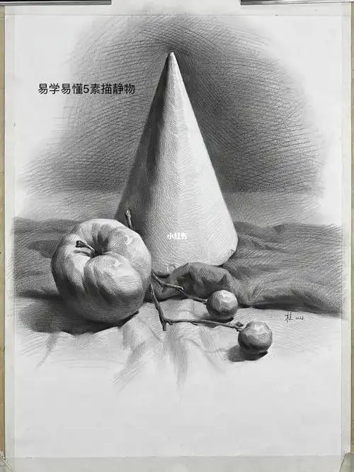 更多精彩尽在易学易懂5素描静物临摹范本