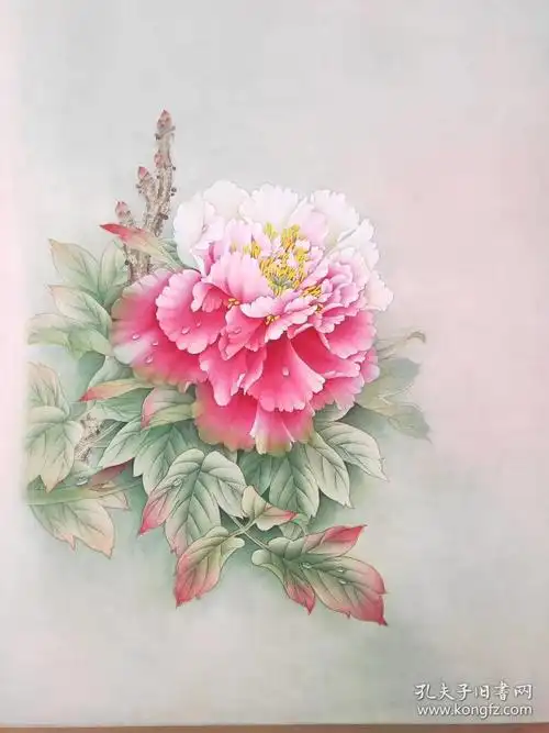 宁珍蕾可合影工笔斗方花鸟牡丹