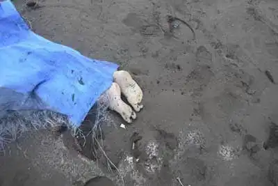 图文:印尼发生强烈地震并引发海啸