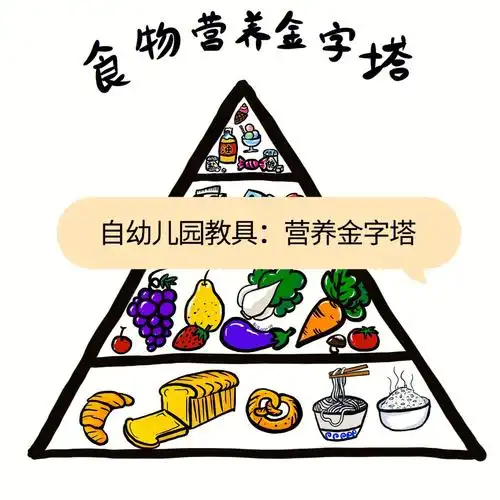 幼儿园教具营养金字塔