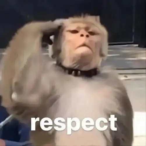 聊天必备表情包