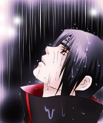 求这张鼬的图片的清晰大图,非常感谢!