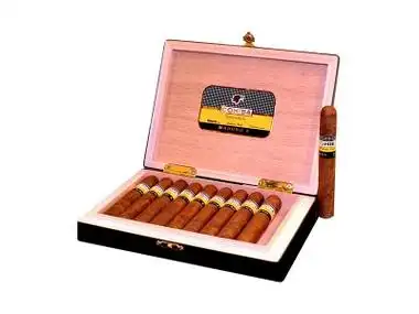 高希霸(才子10支装)