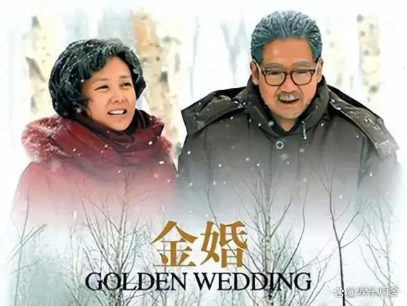 金婚12年后佟家六口演员现状有导有演有退圈还出了影视女王