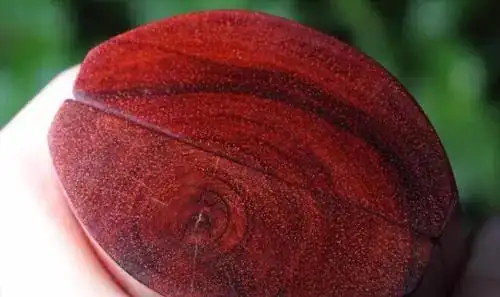 惊!小叶紫檀的八个鉴别步骤