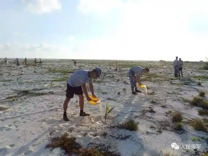 什么材料做的这面党旗和国旗竟然达5800平方米