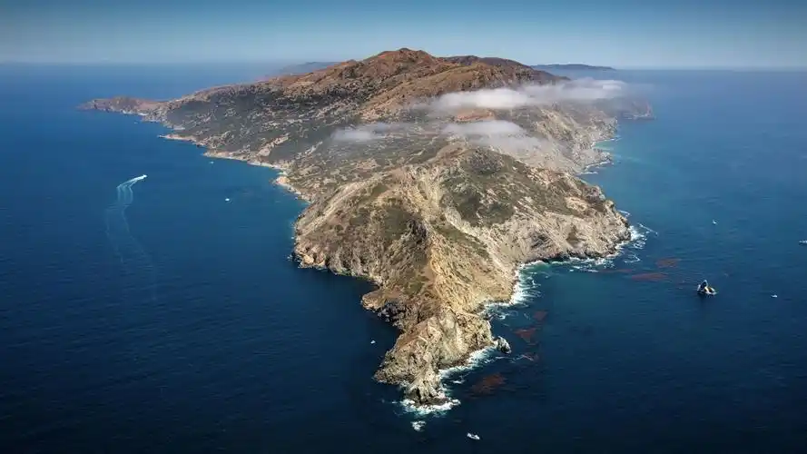 macos catalina动态5k壁纸