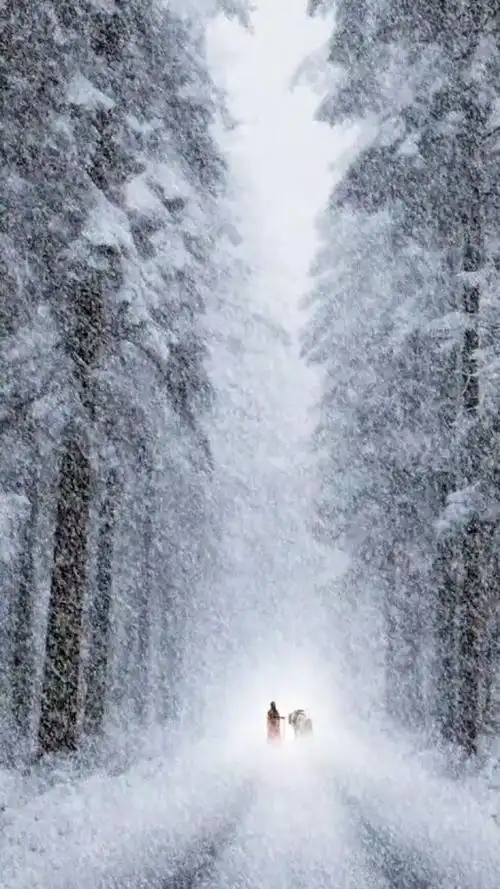 意境 #治愈系风景 #动态壁纸