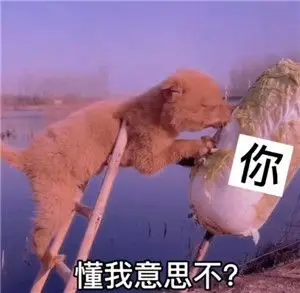 小白菜今晚有空吗表情包动态图下载-小白菜今晚有空吗小猪图片gif原版