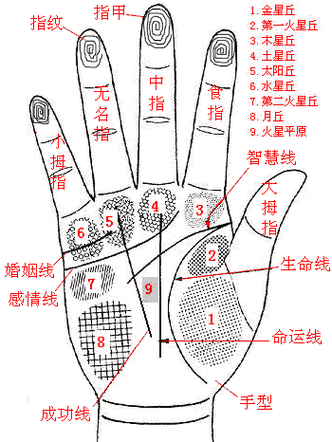 手相图解大全