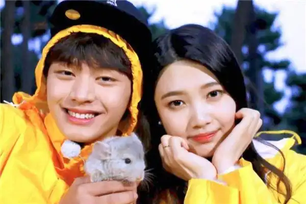 恋爱真人秀综艺前十名 如果爱上榜,第一完美把握恋爱节奏_综艺节目_第