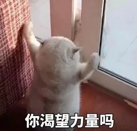 最最重要的是,开始特别喜欢收集沙雕表情包 fine emmmm 月末的时候