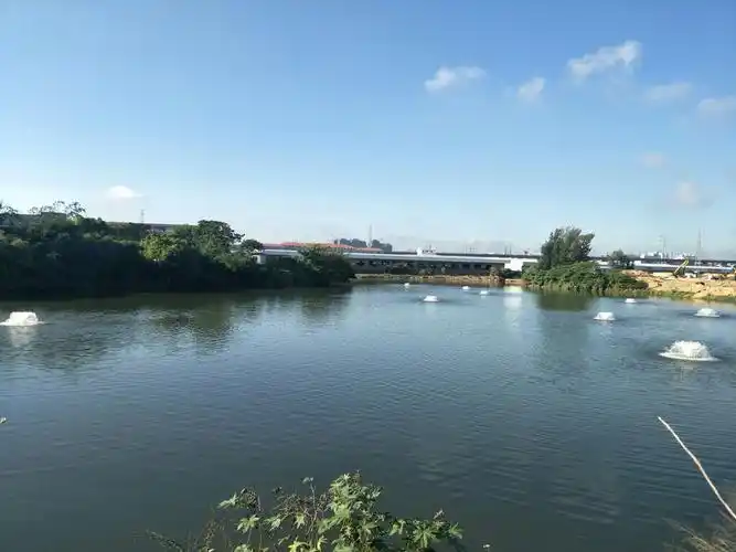 秀英区水务局节假日期间巡查水体情况,确保水质良好