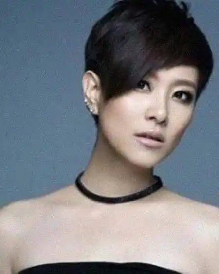 李慧珍(歌手) 简历 - 名人简历