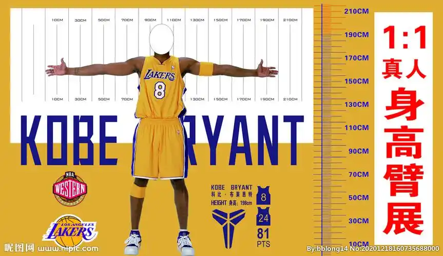 科比身高臂展图图片