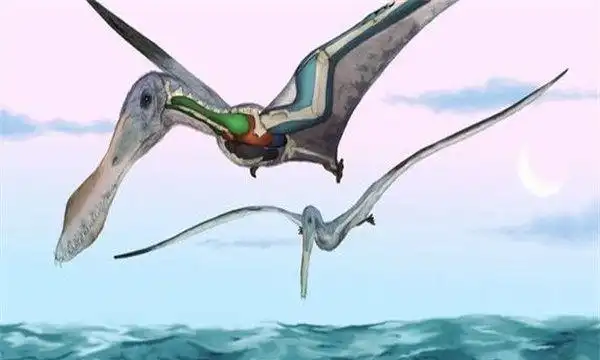 有着鸟类大爪子的恐龙鸟掌翼龙翅膀竟是用来散热的