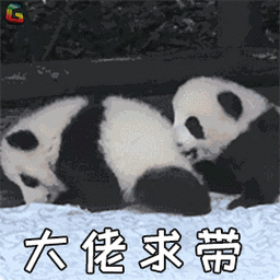 熊猫国宝王者荣耀大佬求带soogifsoogif出品gif动图_动态图_表情包