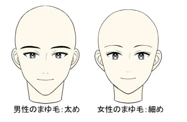 企望教育-教你动漫人物眉毛画法步骤!