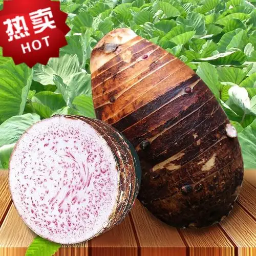 桂林荔浦芋头1个约1斤kuihuajingzi