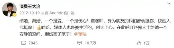 演员董洁因曾因与王大治的不忠事件形象崩塌但演技仍受认可