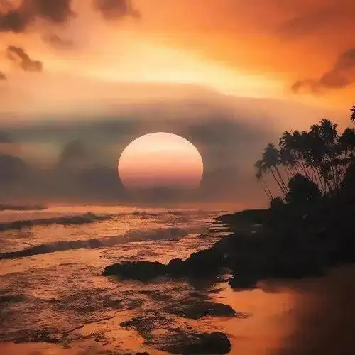 中年男人 风景 头像