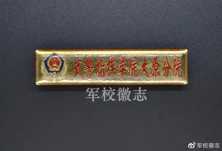 04胸标式-教员佩戴校徽6.