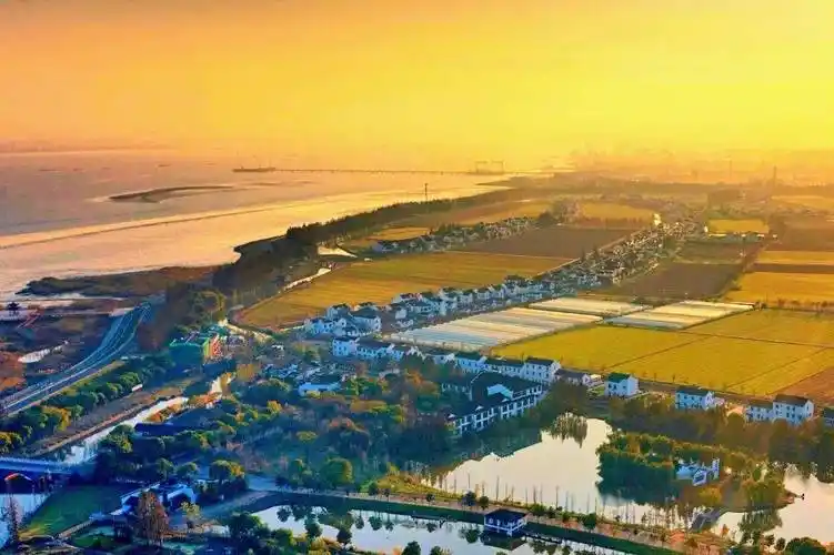 点赞苏州市农业农村现代化工作先进集体